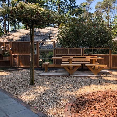 Veluwe Vakantiehuis - Bosuil Lodge Лунтерен Екстер'єр фото