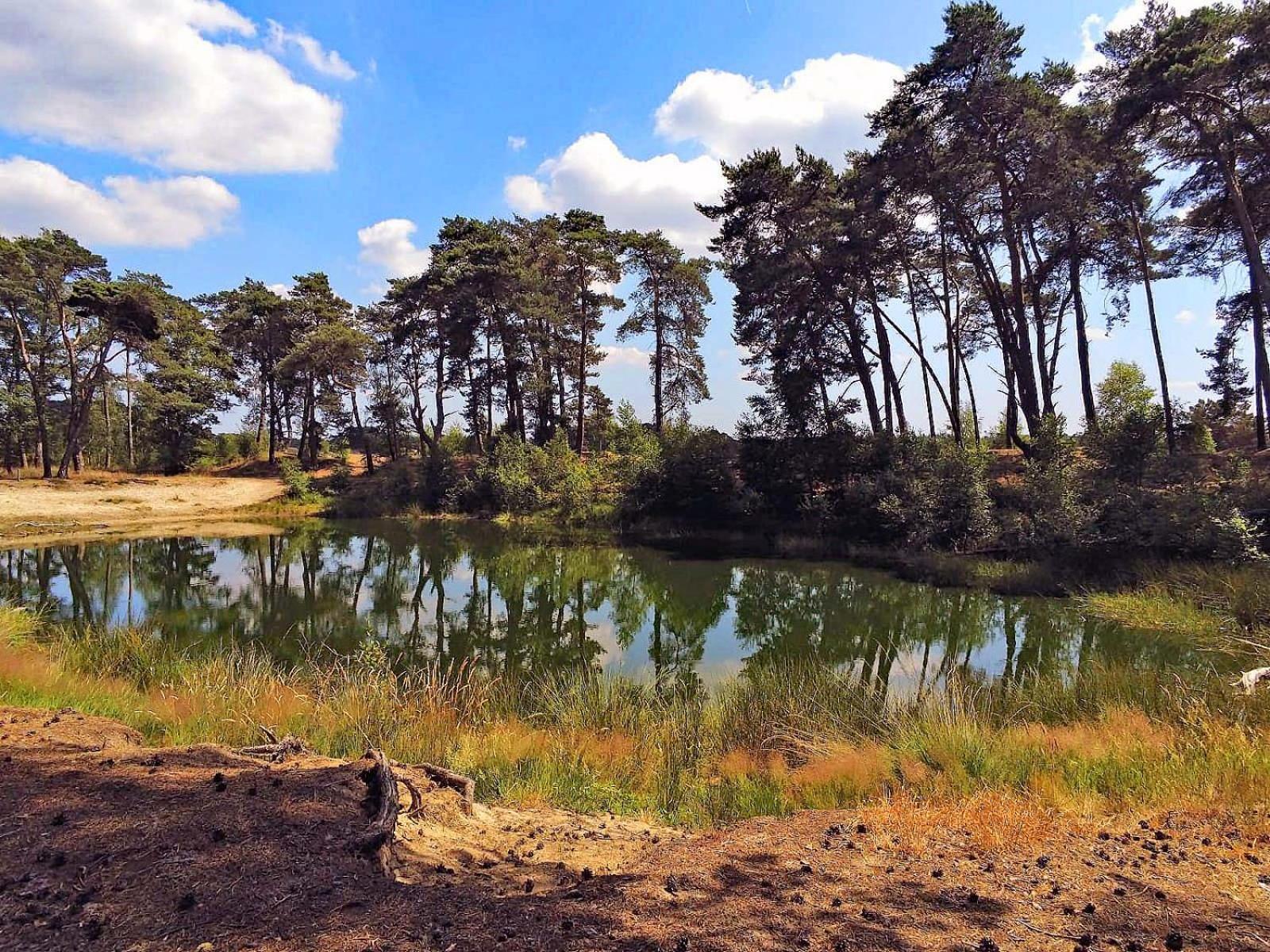Veluwe Vakantiehuis - Bosuil Lodge Лунтерен Екстер'єр фото